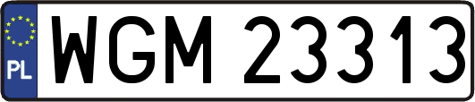 WGM23313