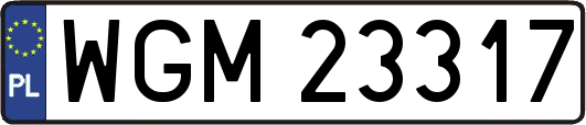 WGM23317