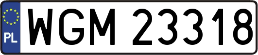 WGM23318