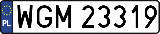 WGM23319
