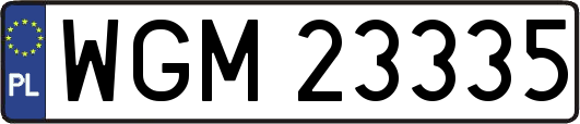 WGM23335