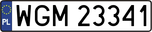WGM23341