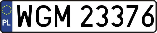 WGM23376