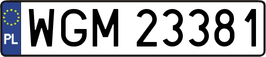 WGM23381