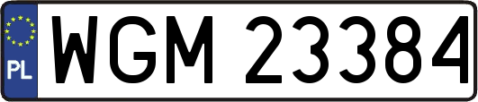 WGM23384