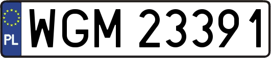 WGM23391