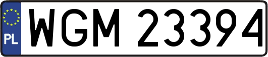 WGM23394