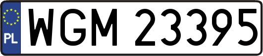 WGM23395