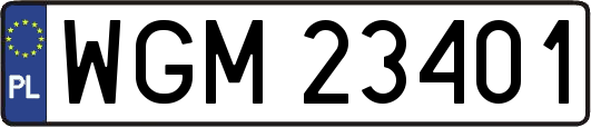 WGM23401