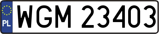 WGM23403