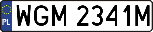 WGM2341M