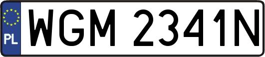 WGM2341N