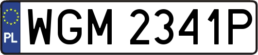WGM2341P