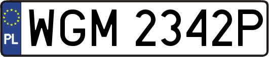 WGM2342P