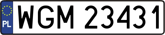 WGM23431
