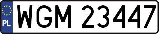 WGM23447
