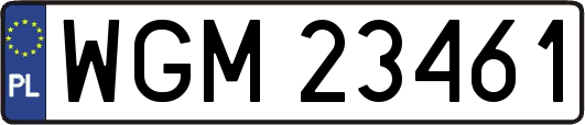 WGM23461