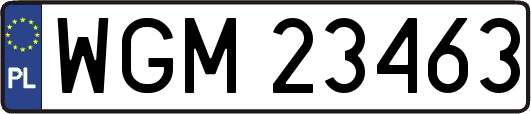 WGM23463