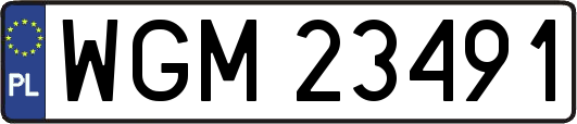 WGM23491