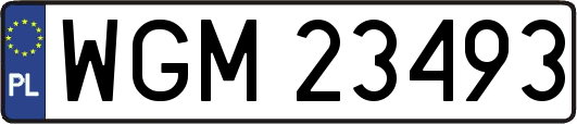 WGM23493