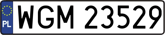 WGM23529