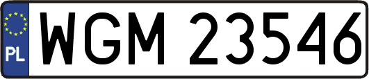 WGM23546