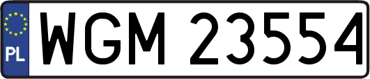 WGM23554