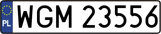 WGM23556