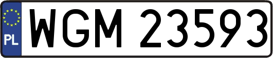 WGM23593