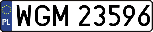 WGM23596