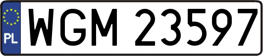 WGM23597