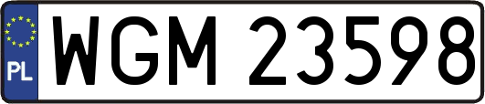 WGM23598