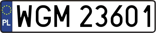WGM23601