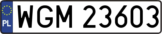 WGM23603