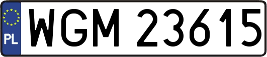 WGM23615
