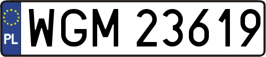 WGM23619