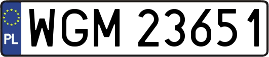 WGM23651