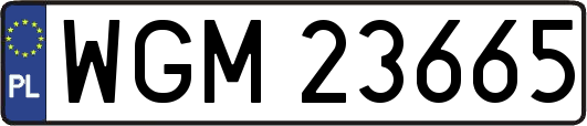 WGM23665