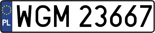 WGM23667