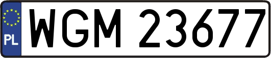 WGM23677