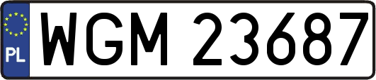 WGM23687