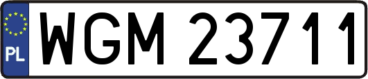 WGM23711