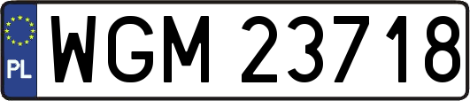 WGM23718