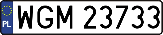 WGM23733