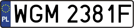 WGM2381F