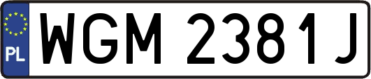 WGM2381J