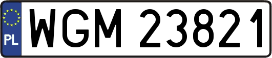 WGM23821