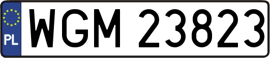WGM23823