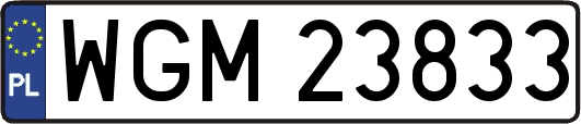 WGM23833
