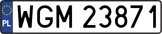 WGM23871